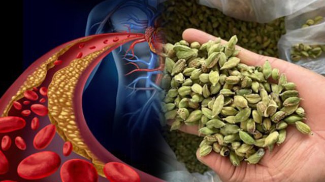 Cardamom In High Cholesterol: हाई कोलेस्ट्रॉल में इलायची के फ़ायदे, Benefits In High Cholesterol..