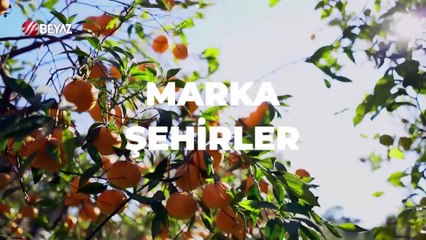 Marka Şehirler 29 Aralık 2024