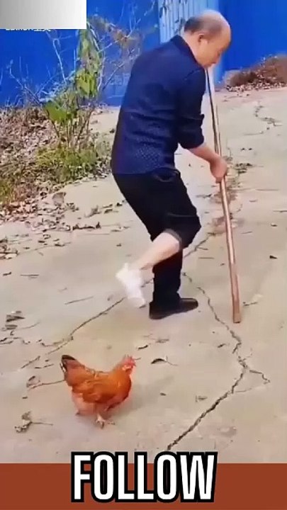 Funny video