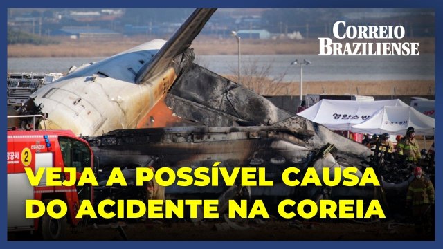 Colisão com pássaro pode ter causado acidente com avião na Coreia do Sul