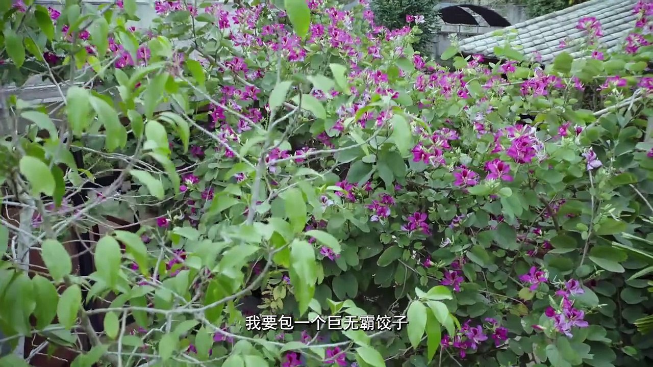 多谢三班 第24集