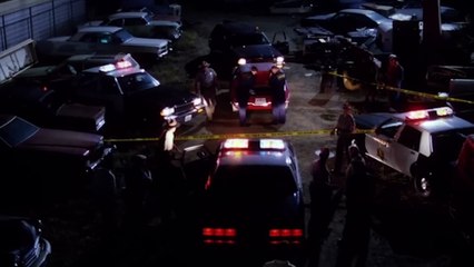 Nature of the Beast - 1995