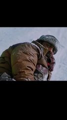 Mountain Between Us (2017)