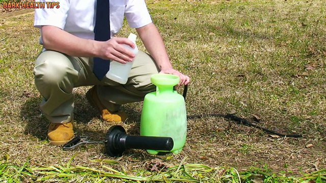 what happens to your body when you eat milk everyday