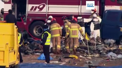 Corea del Sud, si cerca causa dell'incidente aereo: tra le ipotesi impatto con stormo di uccelli