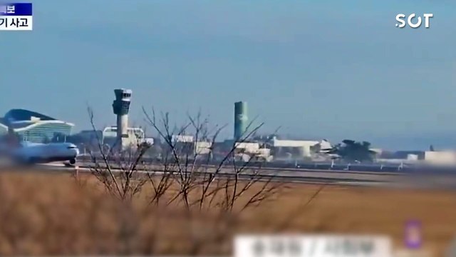 Tragédia na Coreia do Sul: Avião cai no aeroporto de Muan deixa 179 mortos