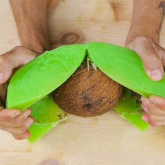 Craft with coconut By 123 GO #shorts 🥥