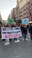 Manifestants Manifestació 'Mazón Dimissió'