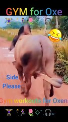 Side Please Side Please