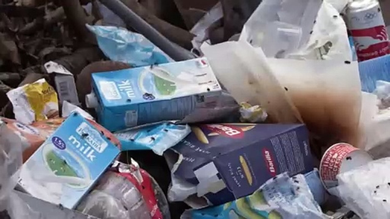 Quelques heures avant la visite de François Bayrou, les rues de Mayotte font peau neuve