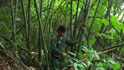 EP.364 - Começou a implementar a criação de peixes em gaiolas no rio, River Survival