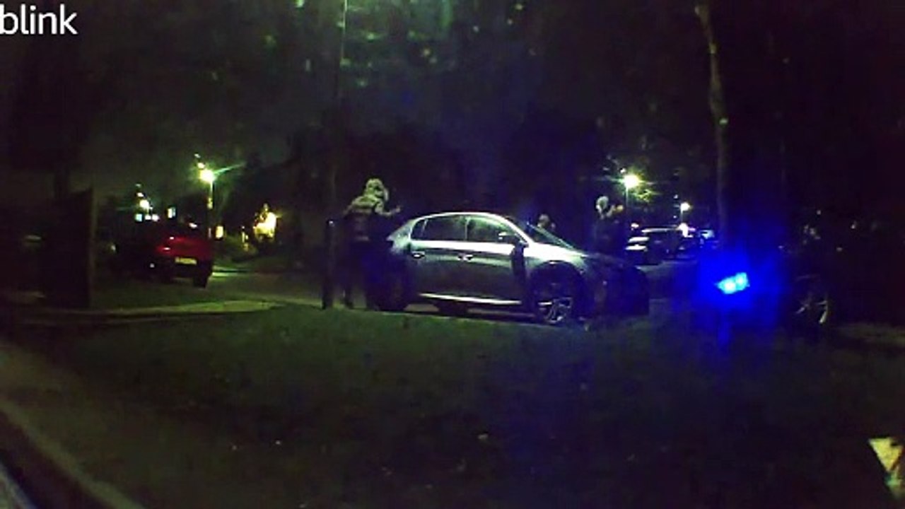Rampaging vandals caught on video