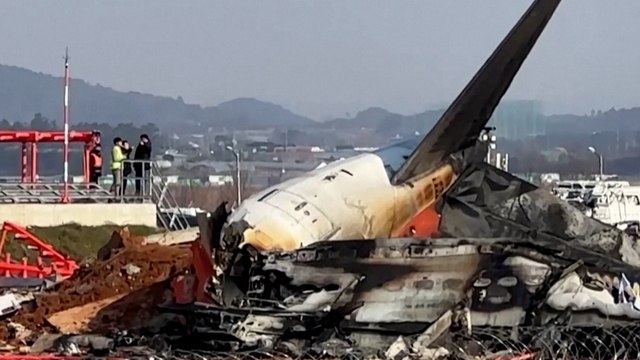 Crash d'avion en Corée : des oiseaux sont-ils responsables du drame ?