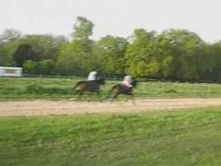 Piste de galop 25 AVRIL 08