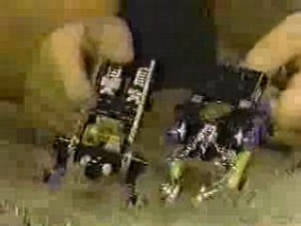 Transformers Insecticons