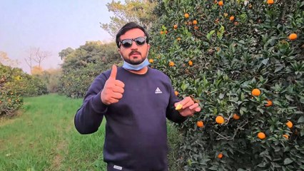 My Vlog | Khanpur Oranges 🍊 | Farms ka Visit 😍 | Must Watch Full Video | Enjoy 😜