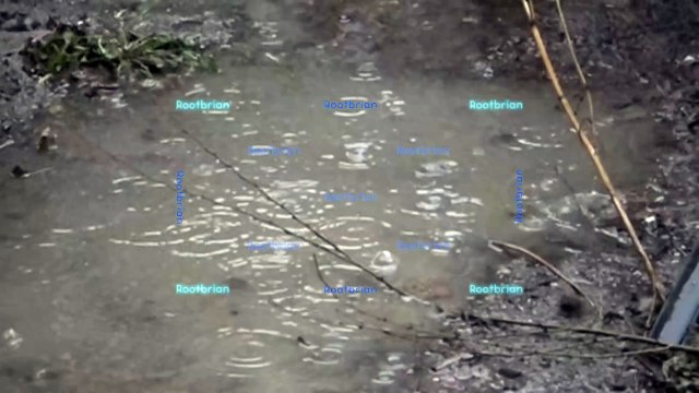 Rain drops hitting a pool of muddy water, disturbing it (silent/mute)