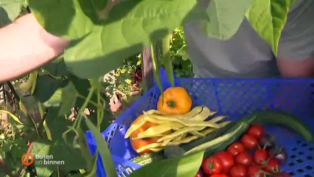 Stromzähler, #photovoltaik, #solar, #vanlife, #powerstation, #powerbank