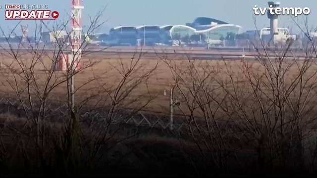 Begini Pesan Terakhir Penumpang Jeju Air Sebelum Tewas