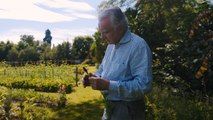 La quête d'Alain Ducasse