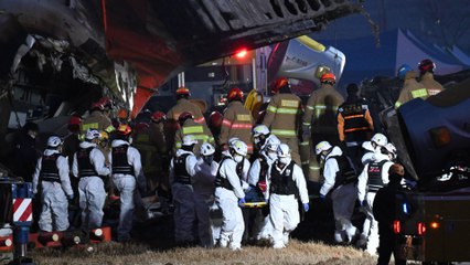 Sobreviviente del fatal accidente aéreo en Corea del Sur, contó lo que vivió antes del choque