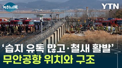 '조류 충돌 발생률 1위'...무안공항, 습지 많아 철새 도래지 [Y녹취록] / YTN