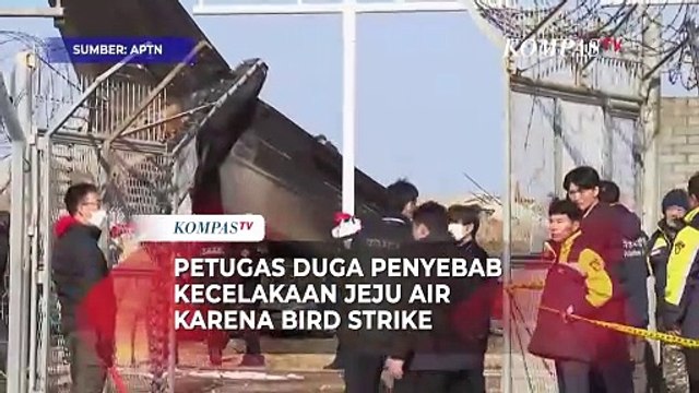 Penyebab Kecelakaan Pesawat Jeju Air Diduga karena Bird Strike, Ini Kata Petugas
