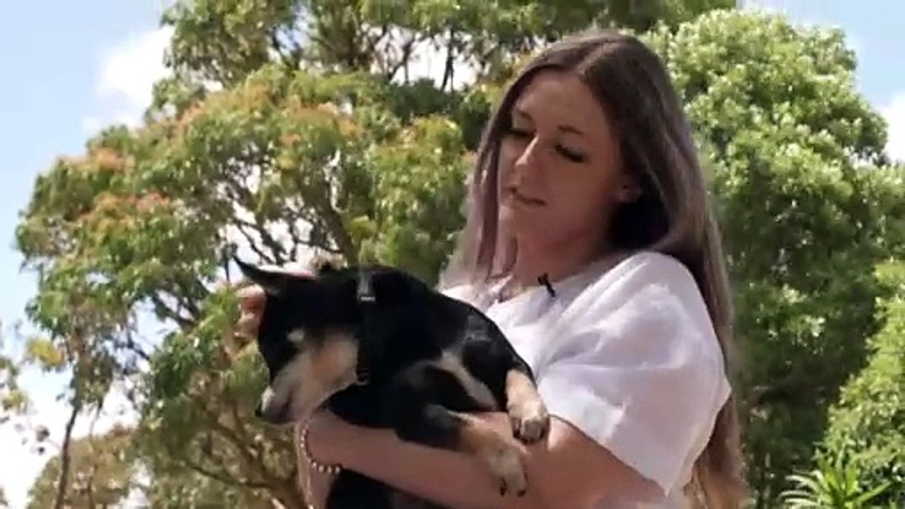 Pfizer faces possible class action after contraceptive Depo-Provera linked to brain tumours