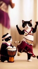 🐈 dance