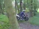 moi ac ma x power dans la foret