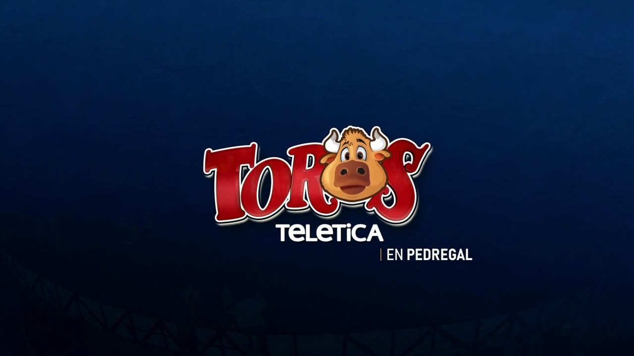 Toros Pedregal 29 Diciembre 2024