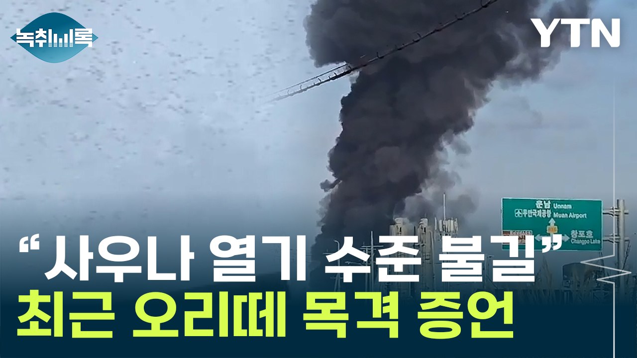 "최근 무안공항 인근 새떼 많았다"...목격자가 전한 급박한 상황 [Y녹취록] / YTN