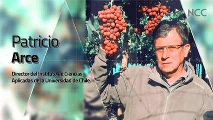 Reporte Climático 178 | Vino: un producto biotecnológico en riesgo climático