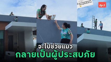 ทาสปฏิบัติการช่วยแมวติดหลังคา สุดท้าย ! กลายเป็นผู้ประสบภัยซะเอง