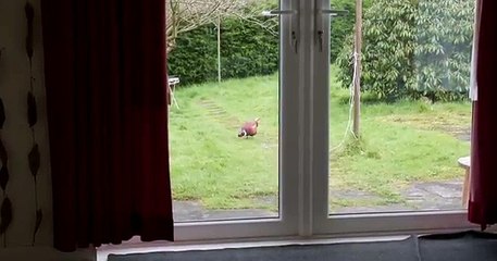 'House of Dead' - Full Horror Movie