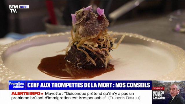 Repas de fêtes: nos conseils pour réussir du cerf aux trompettes de la mort