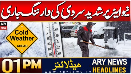 ARY News 1 PM Headlines | 30th DEC 2024 | Extreme cold warning!