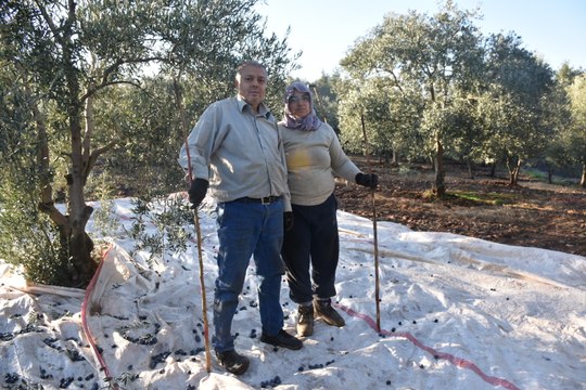 Emekli astsubay: 22 yıldır verilen sözler tutulmadı, zeytin tarlasında amelelik yapıyoruz