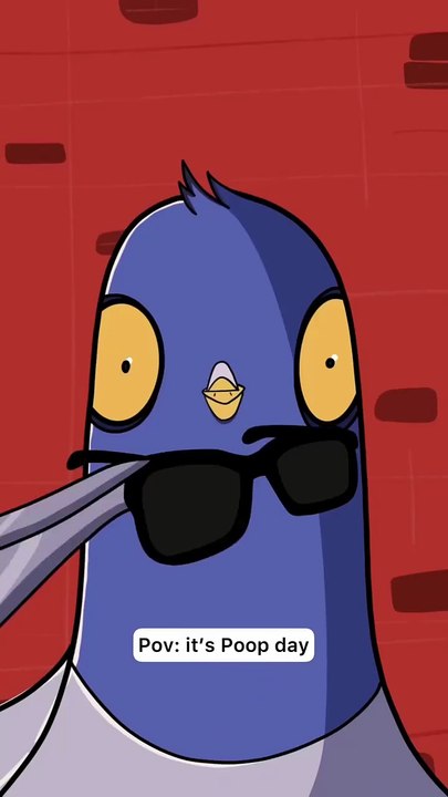 Funny Bird