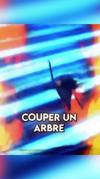 One Piece - La Force de Zoro #science #maths #physique #anime #manga