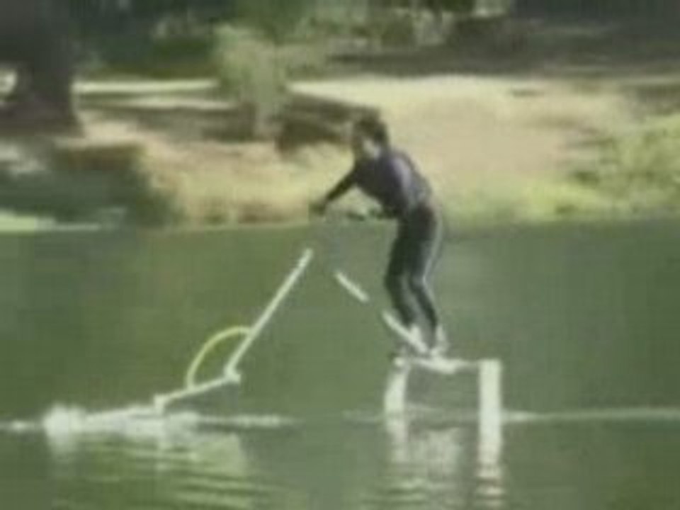 Waterbird