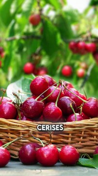 La masse de la Netherite #science #maths #physique