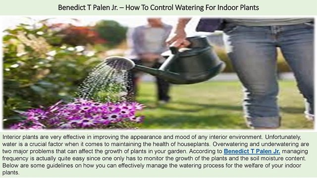 Benedict T Palen Jr – How To Control Watering For Indoor Plants