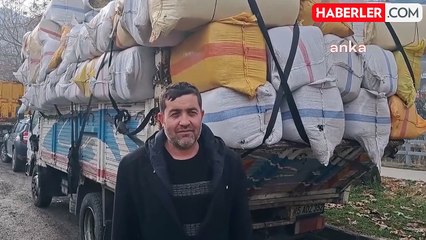 Artvin'de Hayvancılık Krizi: Maliyetler Üreticiyi Zorluyor