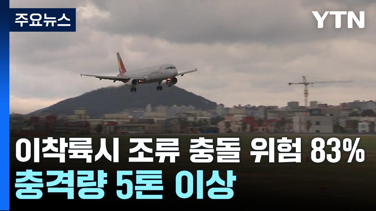 비행기 이착륙시 조류 충돌 위험 83%...충격량 5톤 이상 / YTN