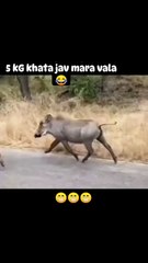 ગુજરાત સરકાર