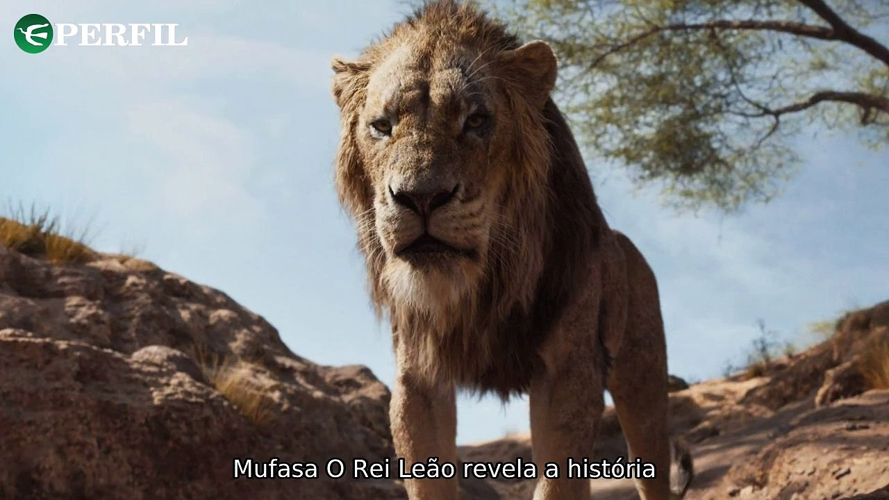 "Os segredos por trás de Scar, Round 6 e Sonic: Revelações surpreendentes da indústria do entretenimento."