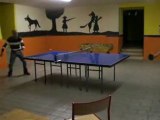 Ping pong saugues