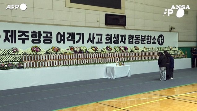 Corea Sud, le squadre di soccorso ispezionano il relitto dell'aereo precipitato