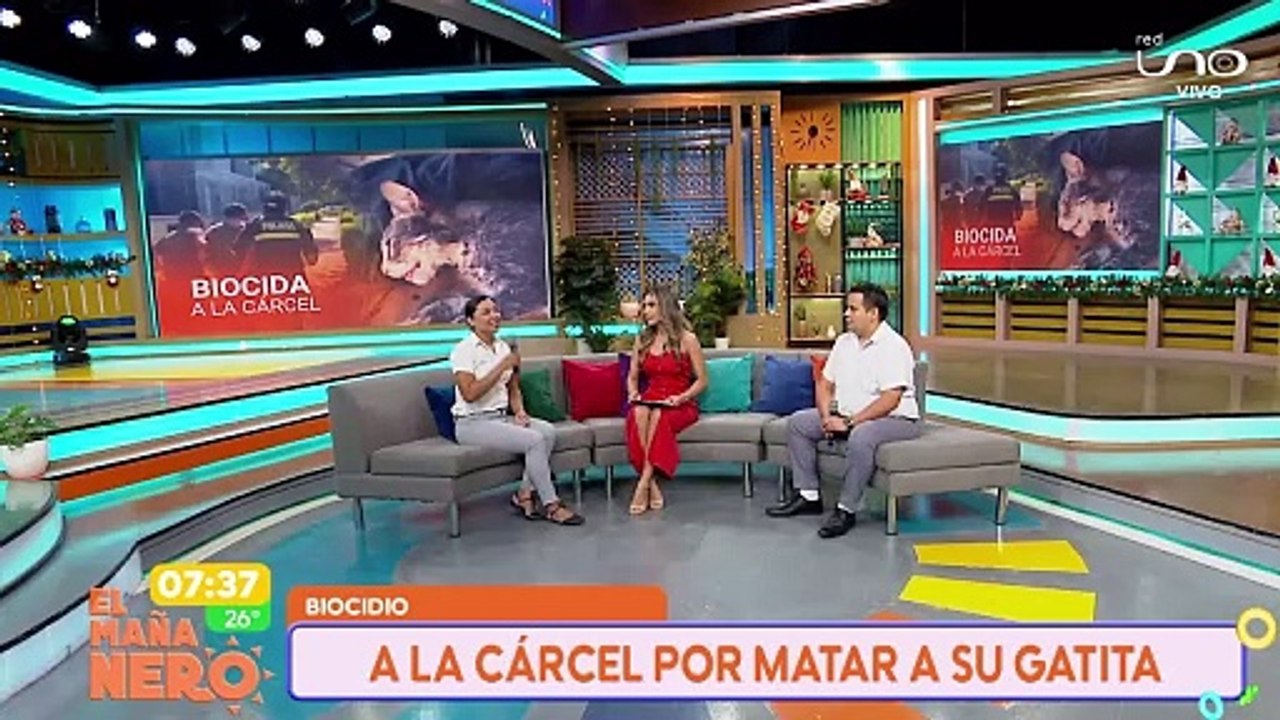 caso michita